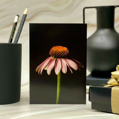 Floral Thank You Card – Blank – Purple Echinacea