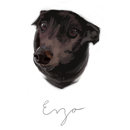 Custom Portrait of your pet dog $50