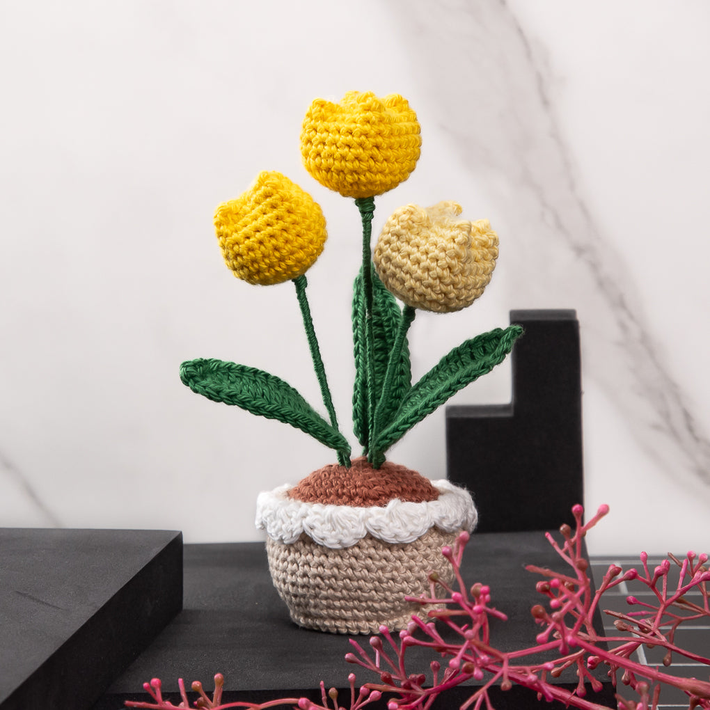 Mini Crocheted Flower Pots