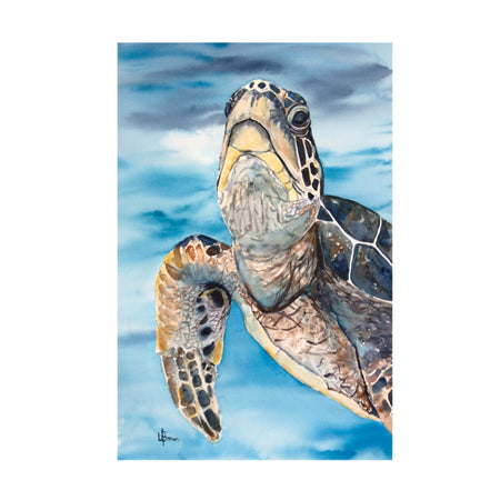 Turtle A3 Fine Art Print