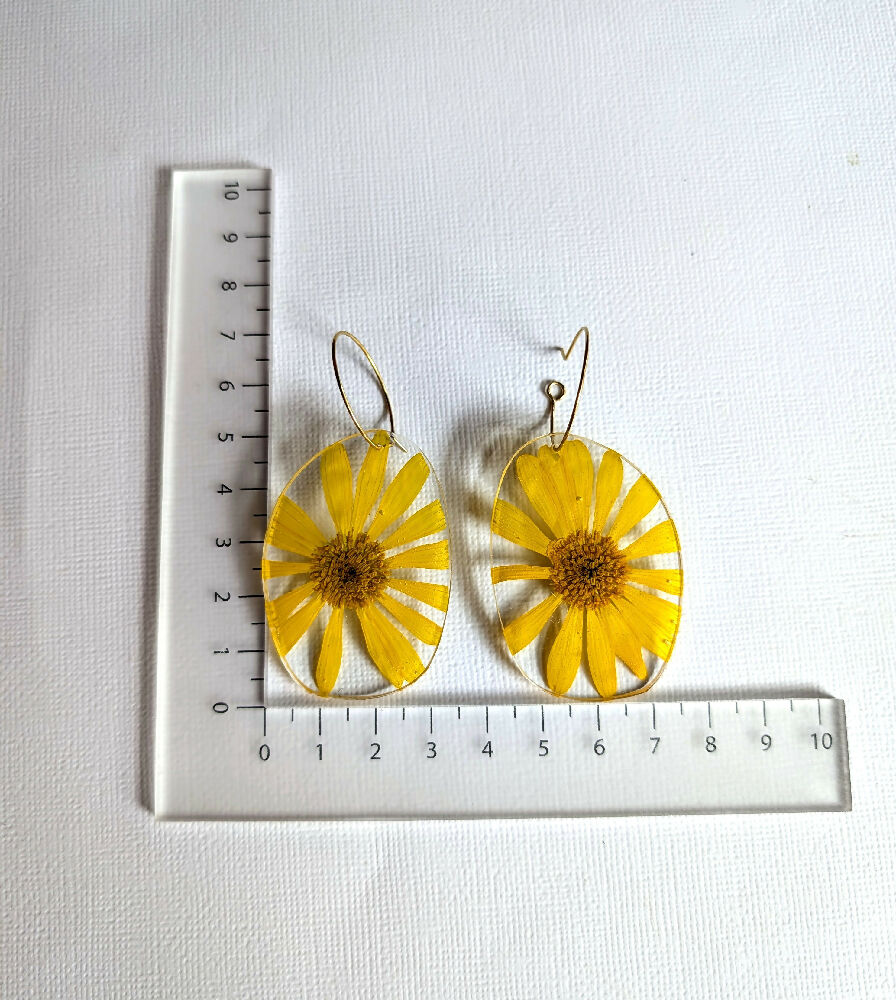 PXL_20240922_030112083~2