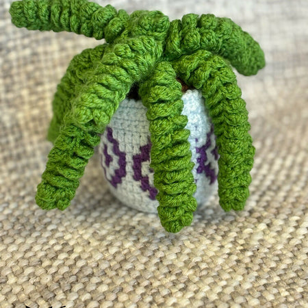 Crochet Indoor Plant with Mosaic Pot