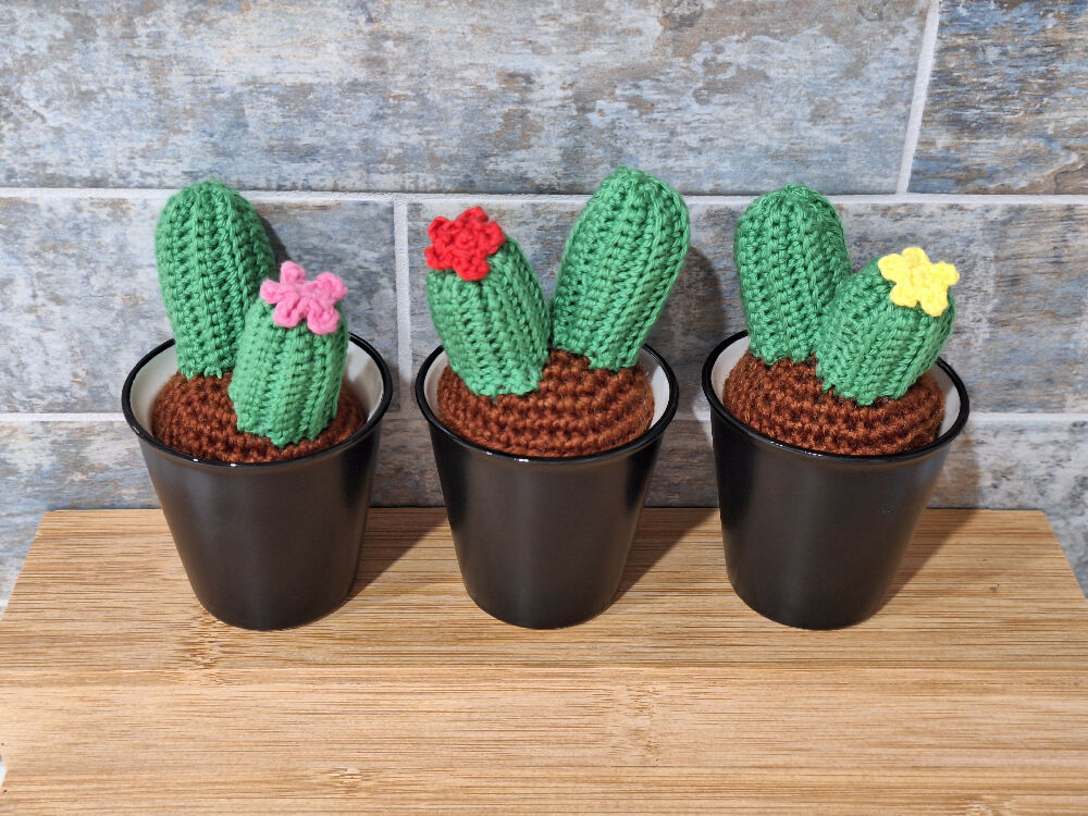 crocheted succulents room decoration