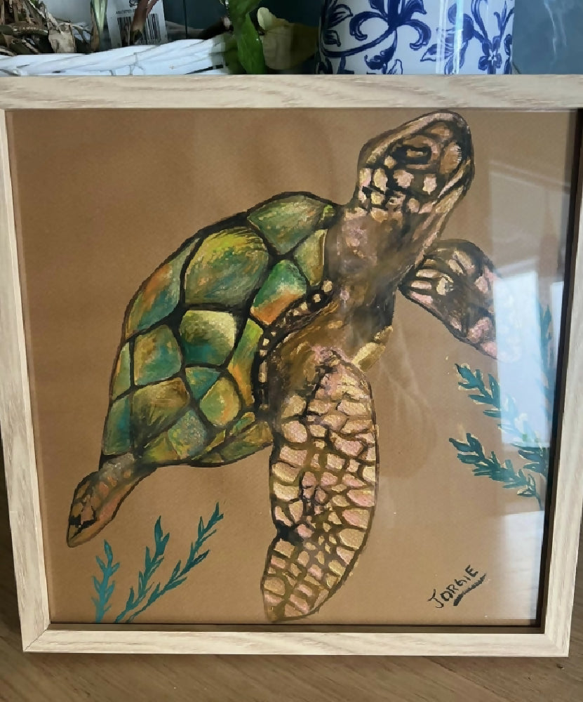 watercolor study of a sea turtle , framed