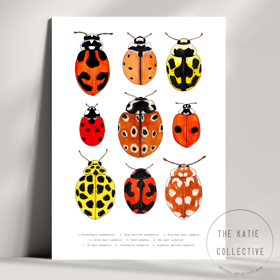 Watercolour Art Print - 'Ladybug Collage'