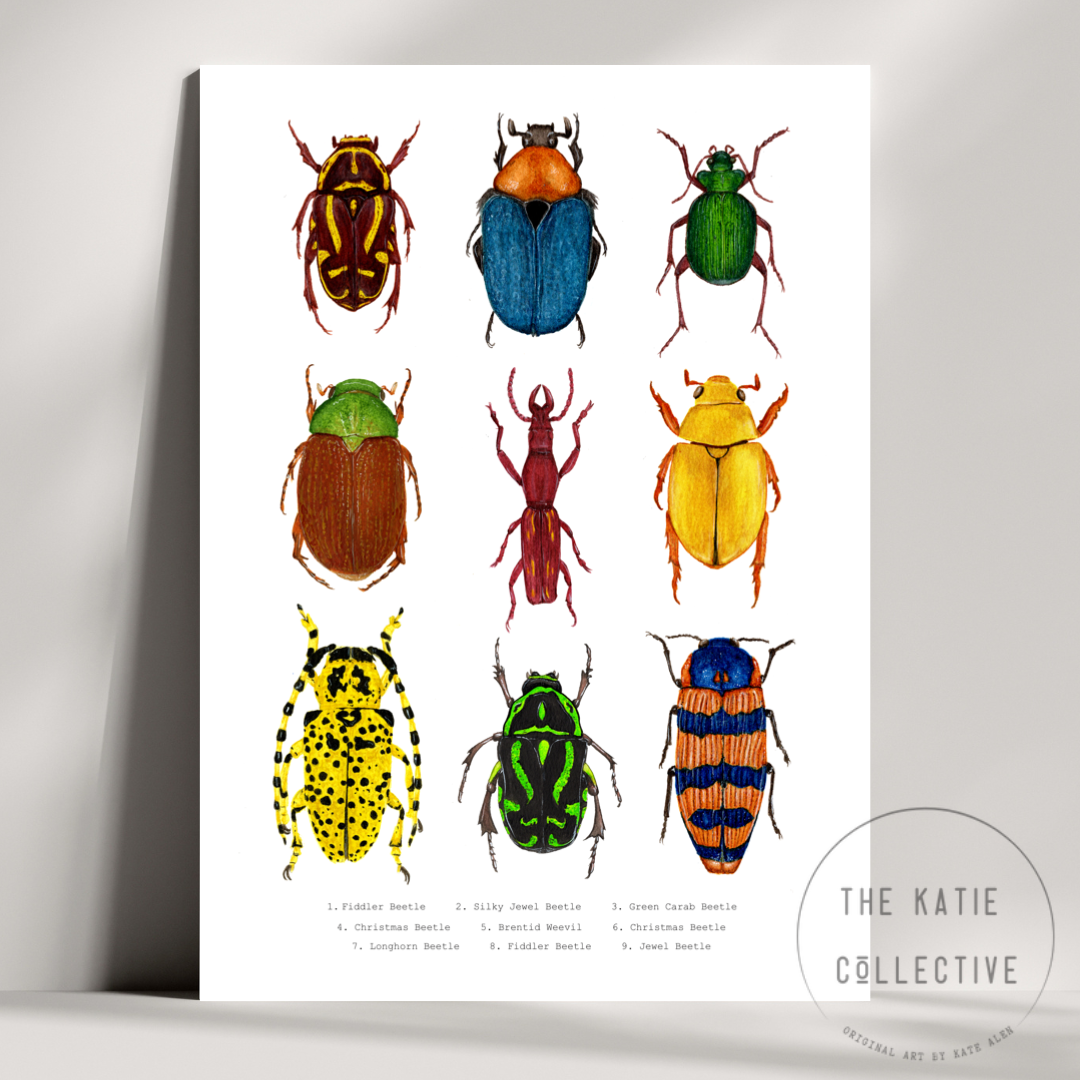 Watercolour Art Print - 'Australian Bug Collage'