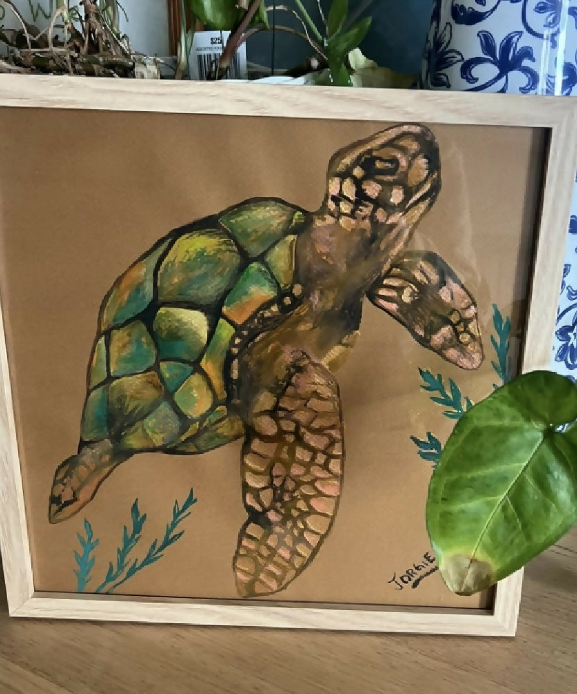 watercolor study of a sea turtle , framed