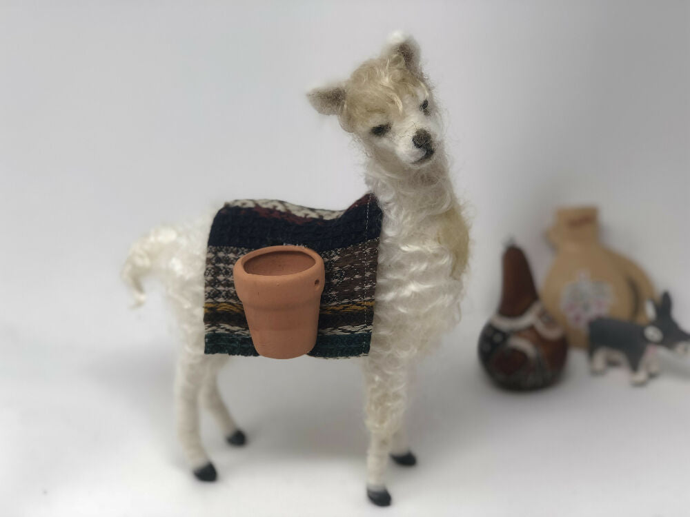llama8