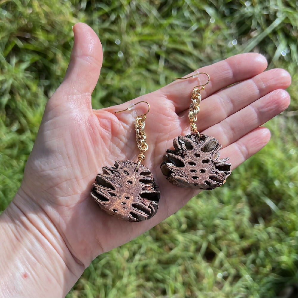 Silver plated banksia earrings large hand