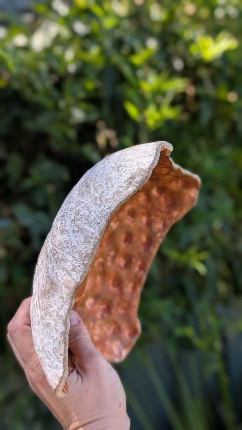 Paper Clay Decorative Bowl in Earthy Tones