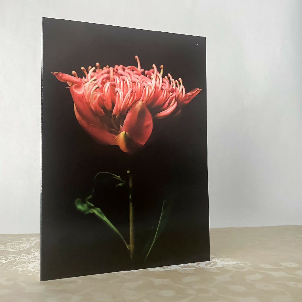Australian native flower gift card