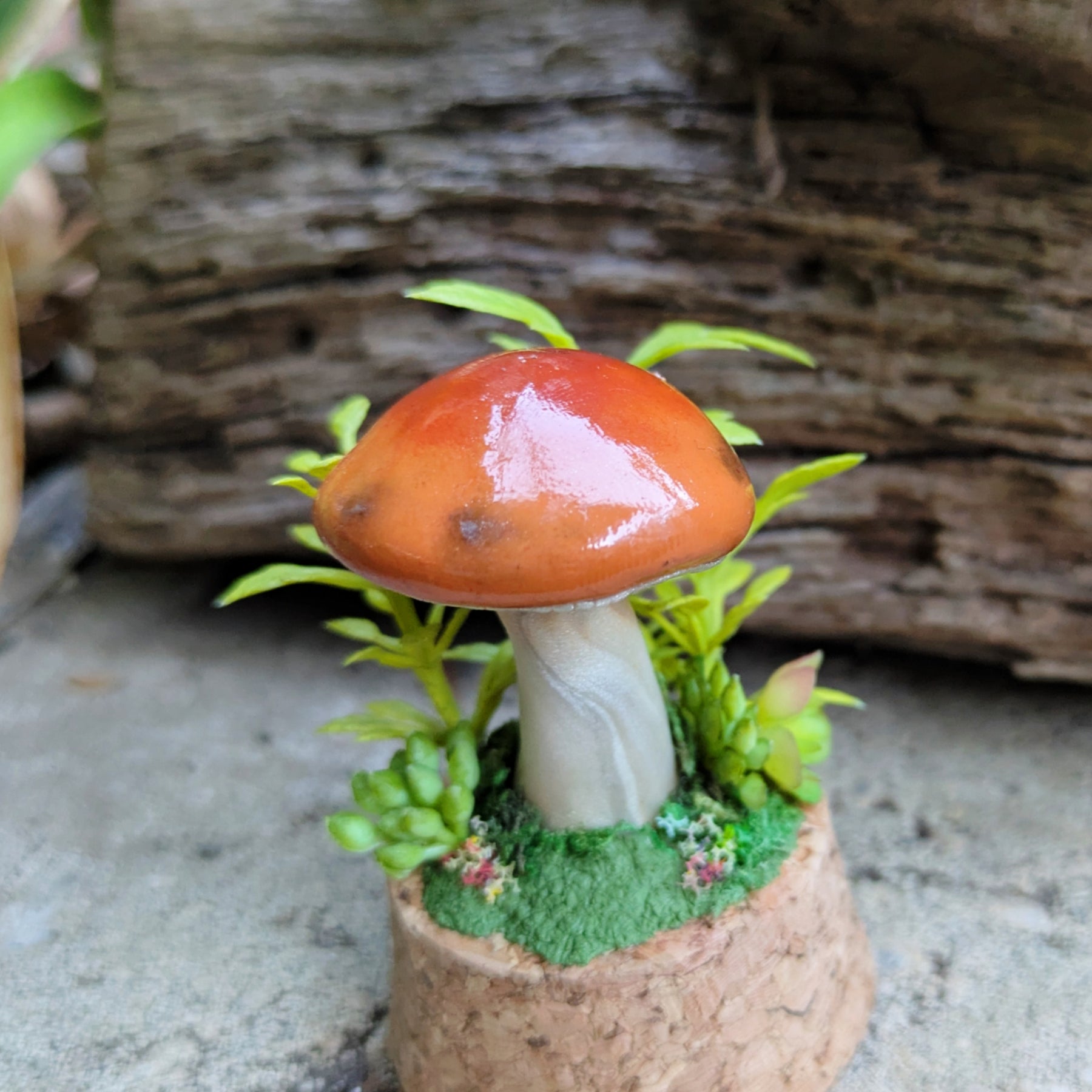 Woodland Mushroom Dome