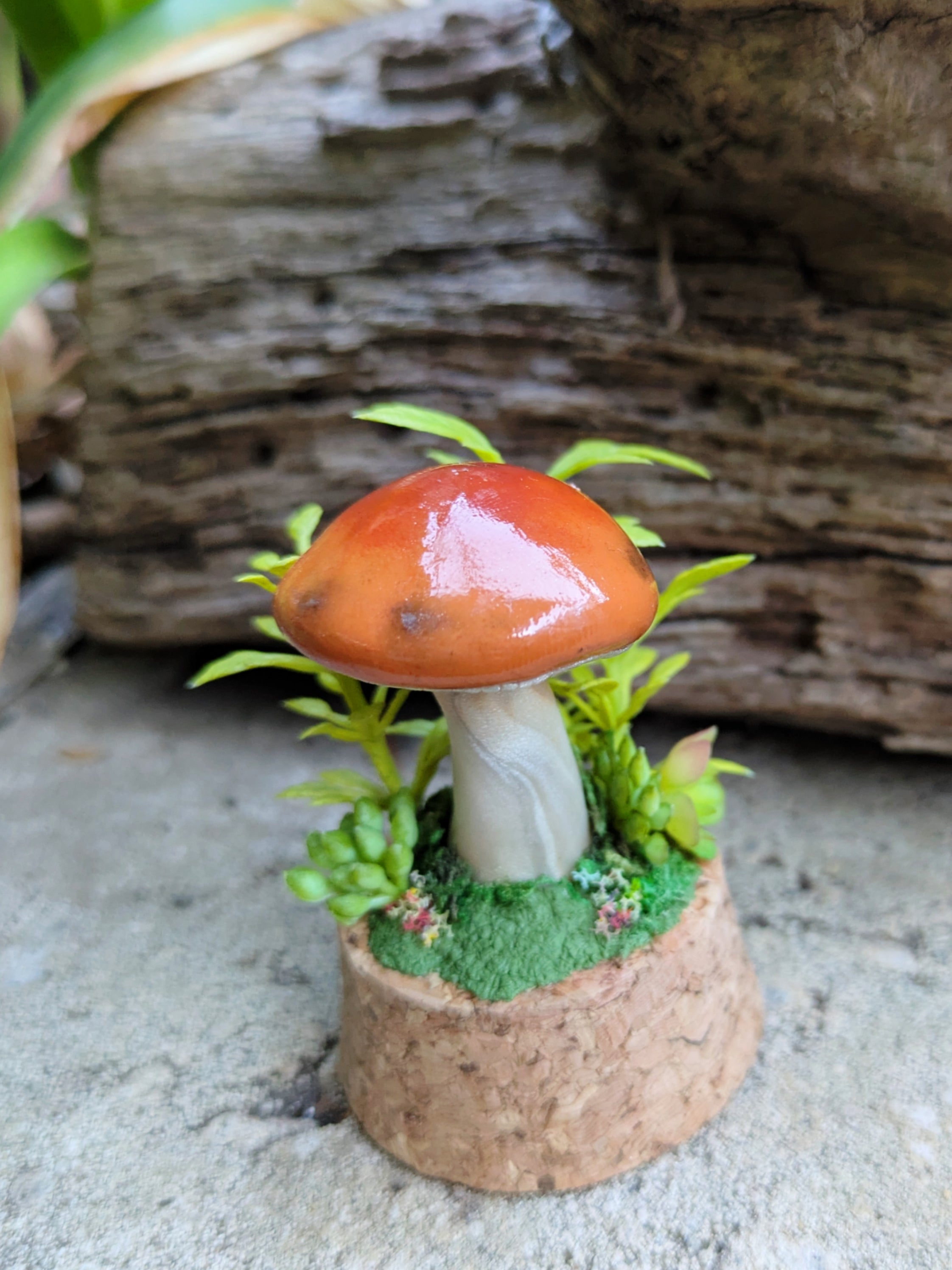 Woodland Mushroom Dome
