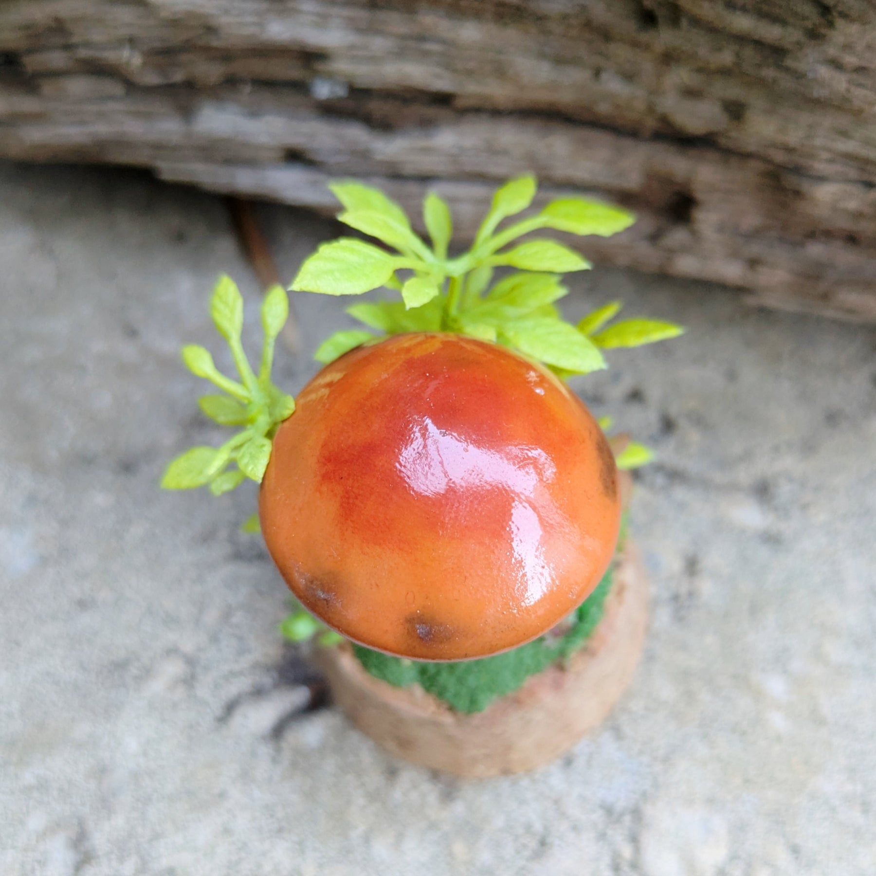 Woodland Mushroom Dome