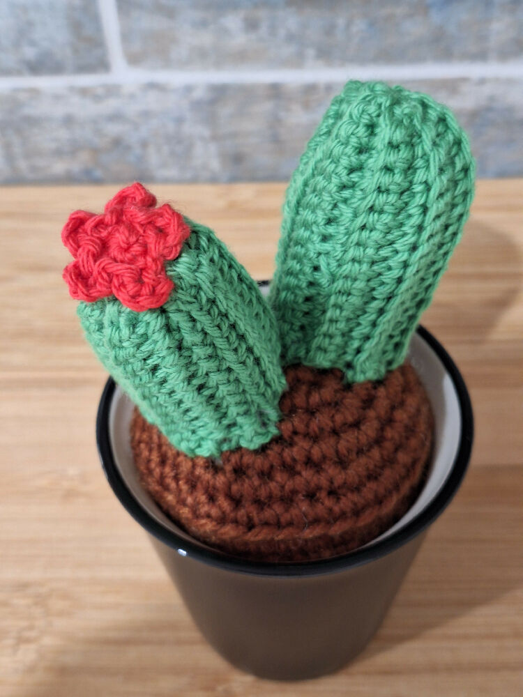 crocheted succulents room decoration