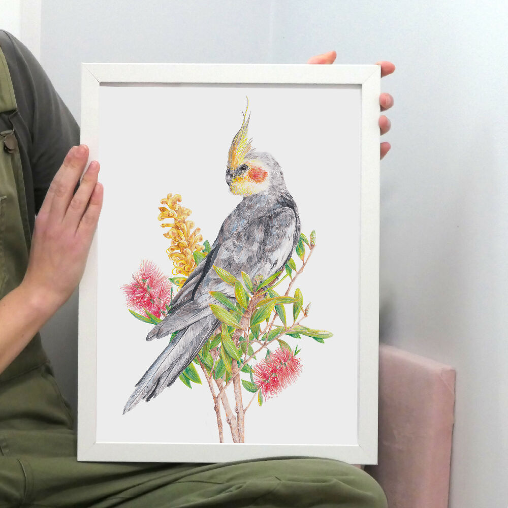 A4 art print of a cockatiel amongst Australian native flowers, by Australian bird artist Kayla Reay.