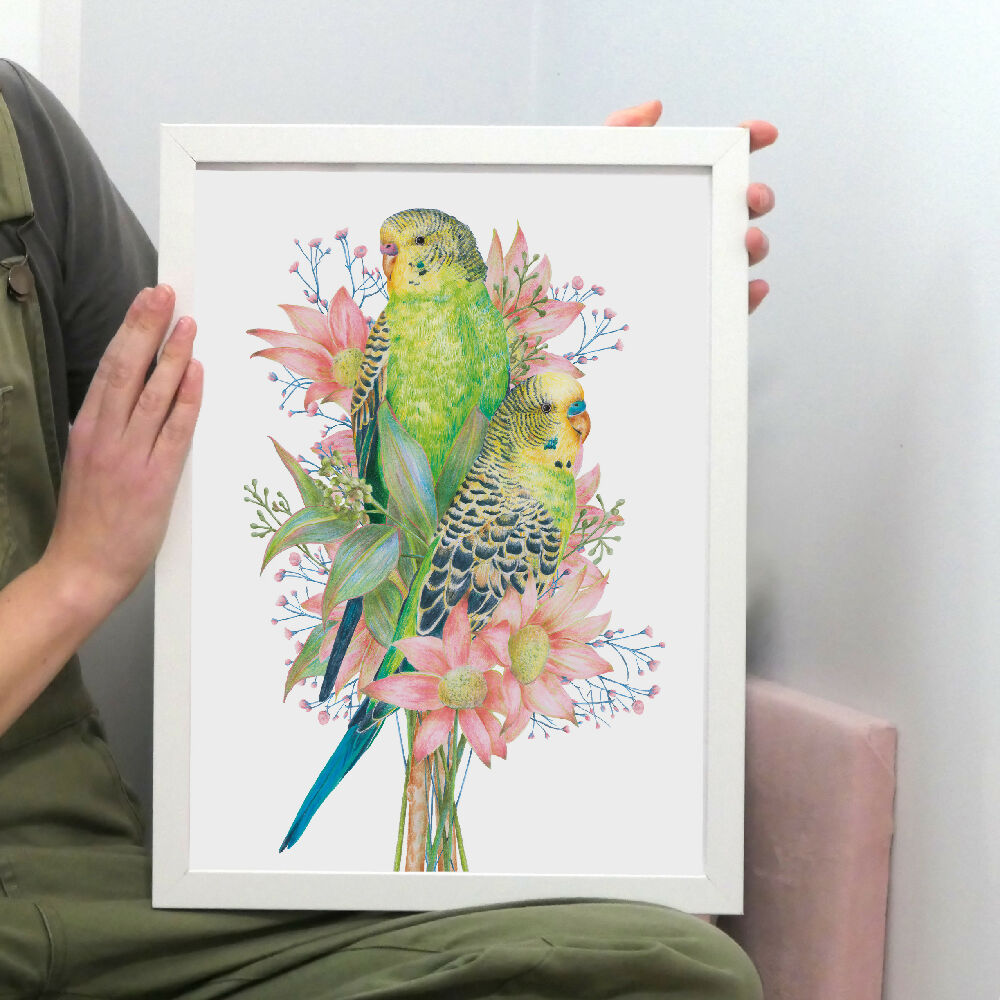 A4 art print of budgerigars amongst Australian native flowers, illustrated by Australian artist Kayla Reay.