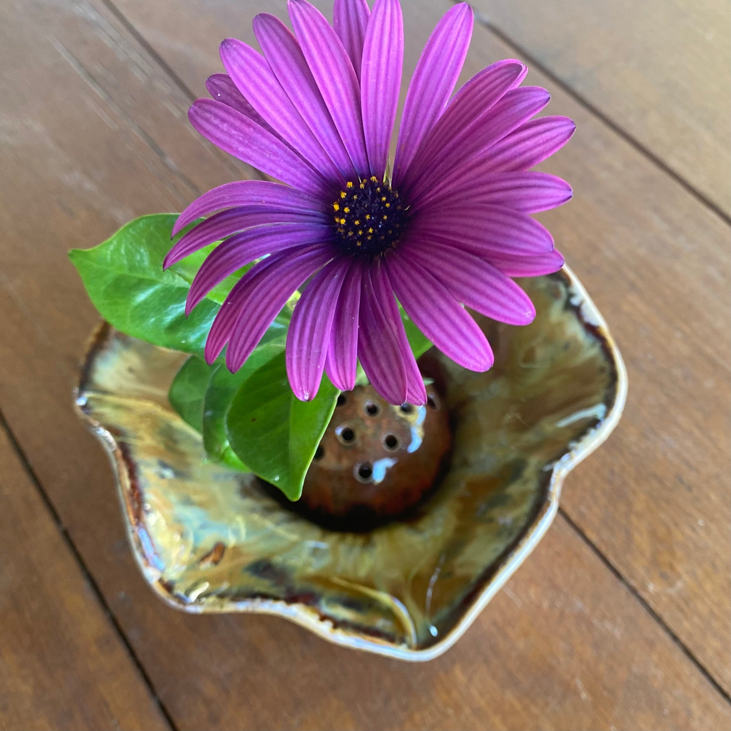 Organic Wave Bowls with Removable Dome Ikebana|Handmade Pottery