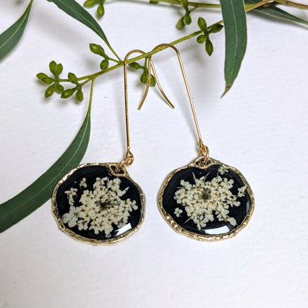 Queen Anne's Lace, black background, long hook