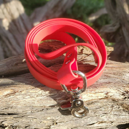 Waterproof Dog Lead - Bright Colours