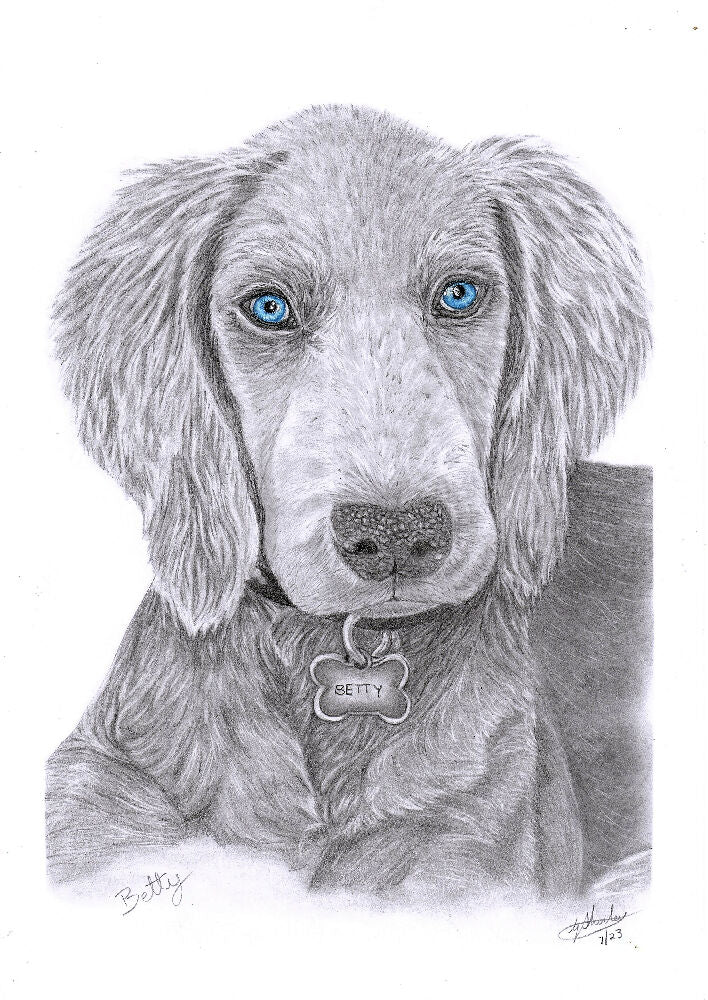 Graphite Pet Portrait A5