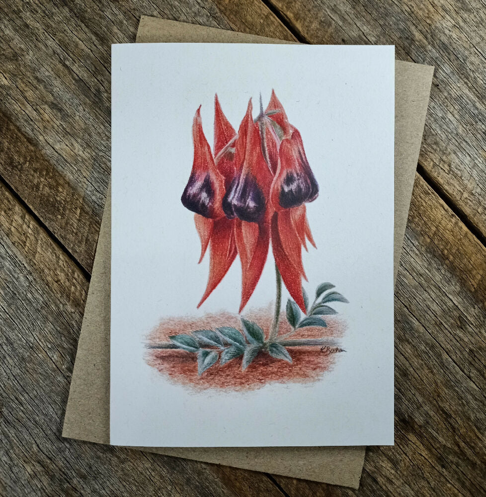 Blank Greeting Card - Sturt's Desert Pea