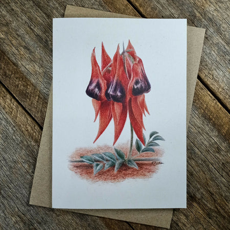 Blank Greeting Card - Sturt's Desert Pea