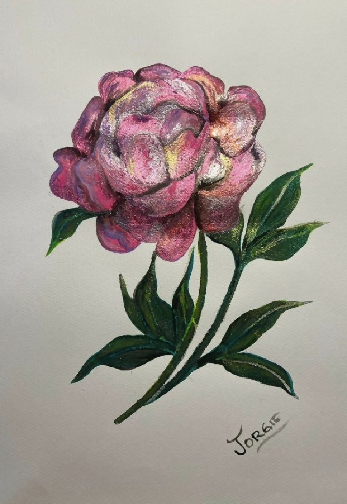 Watercolor Titled Divine , stunning shimmering rose framed