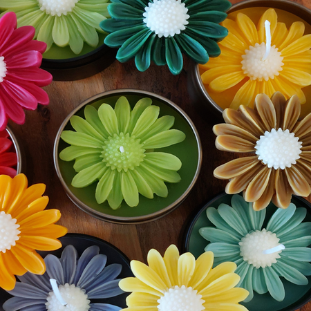 Scented Soy Candles - Daisy Glow Collection