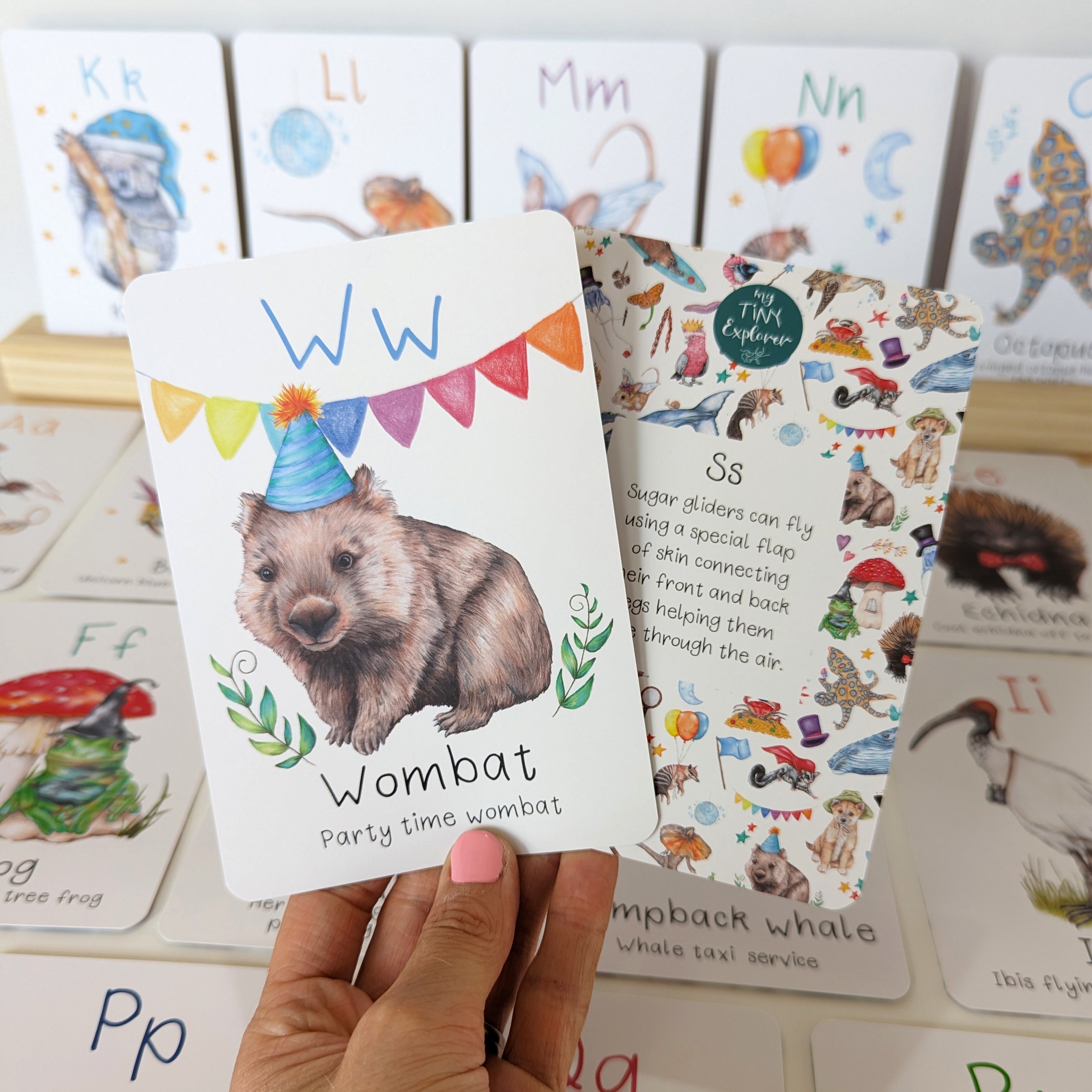 Australian Animal Alphabet Flash Cards