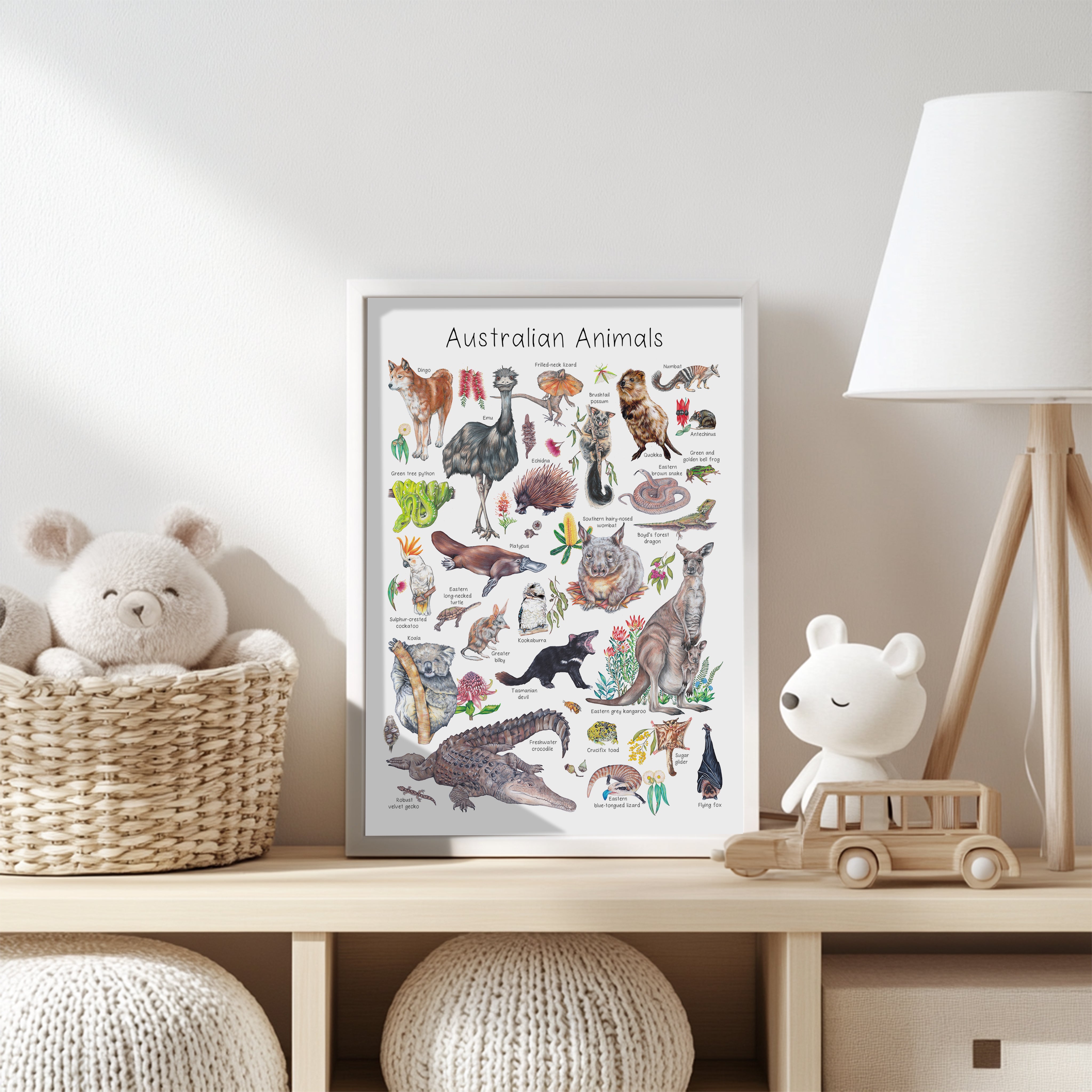 Australian Animals Poster - A3 size