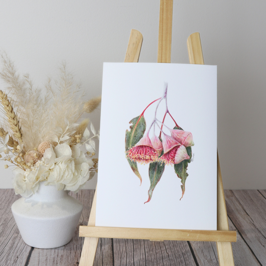 Eucalyptus Flowers | Gum Blossom | Australian Wildflowers Art Print