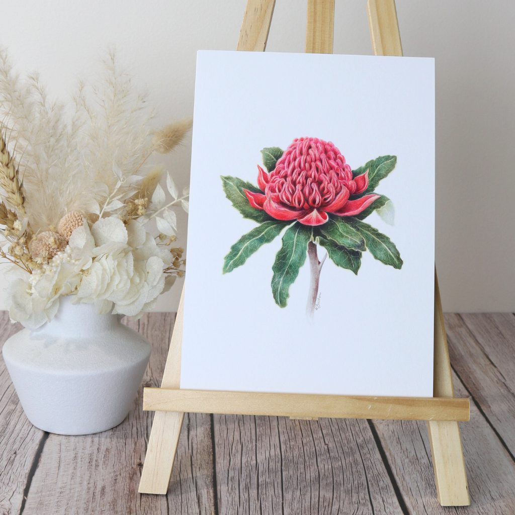 Waratah | Australian Wildflowers Art Print