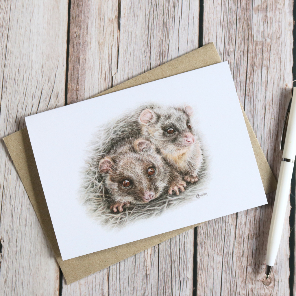 Ringtail Possum Joeys | Blank Greeting Card | Australian Wildlife | Recycled