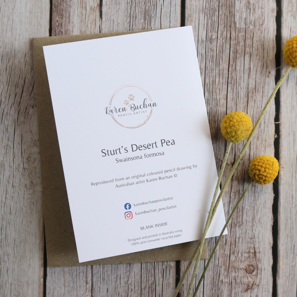 Sturt's Desert Pea | Blank Greeting Card | Australian Wildflowers | Recycled