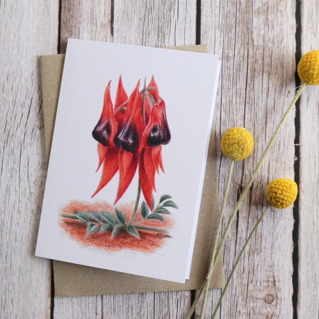 Sturt's Desert Pea | Blank Greeting Card | Australian Wildflowers | Recycled