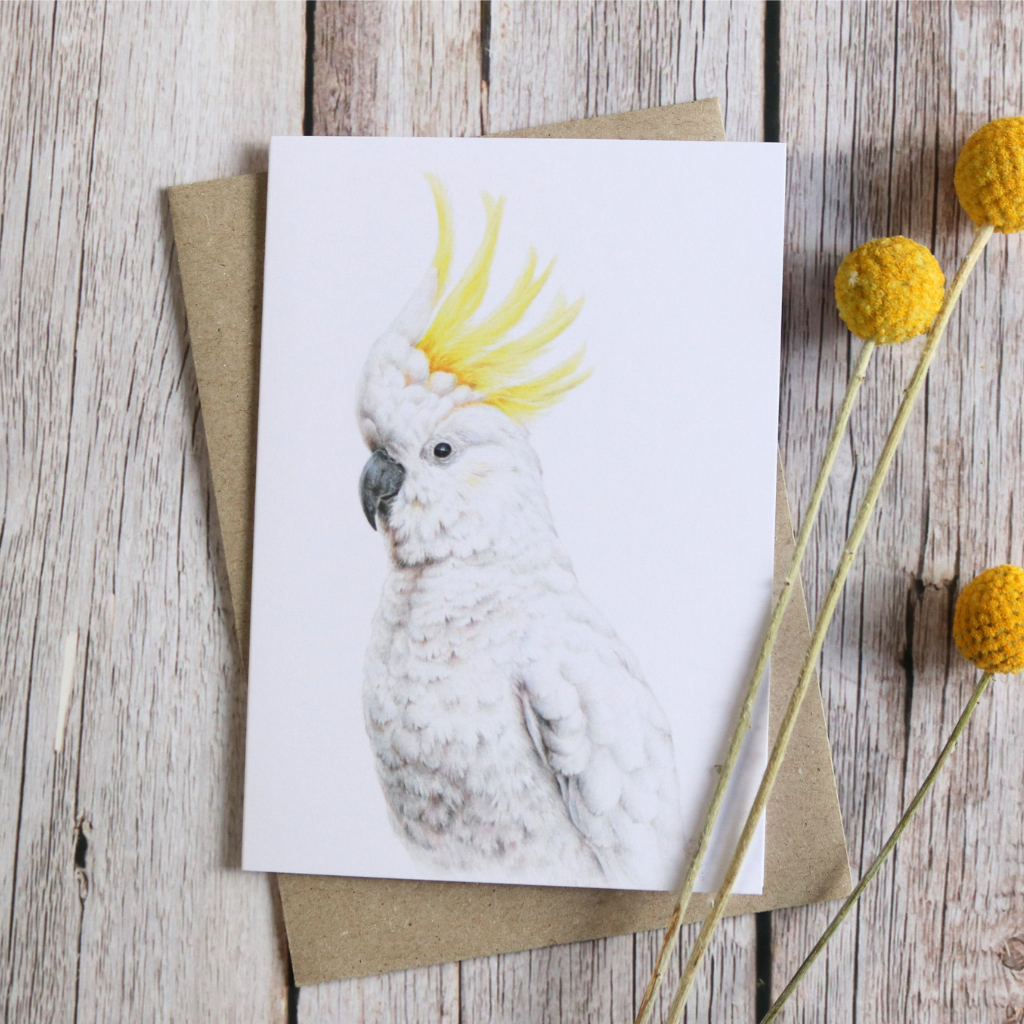Sulphur-crested Cockatoo | Blank Greeting Card | Australian Wildlife | Recycled