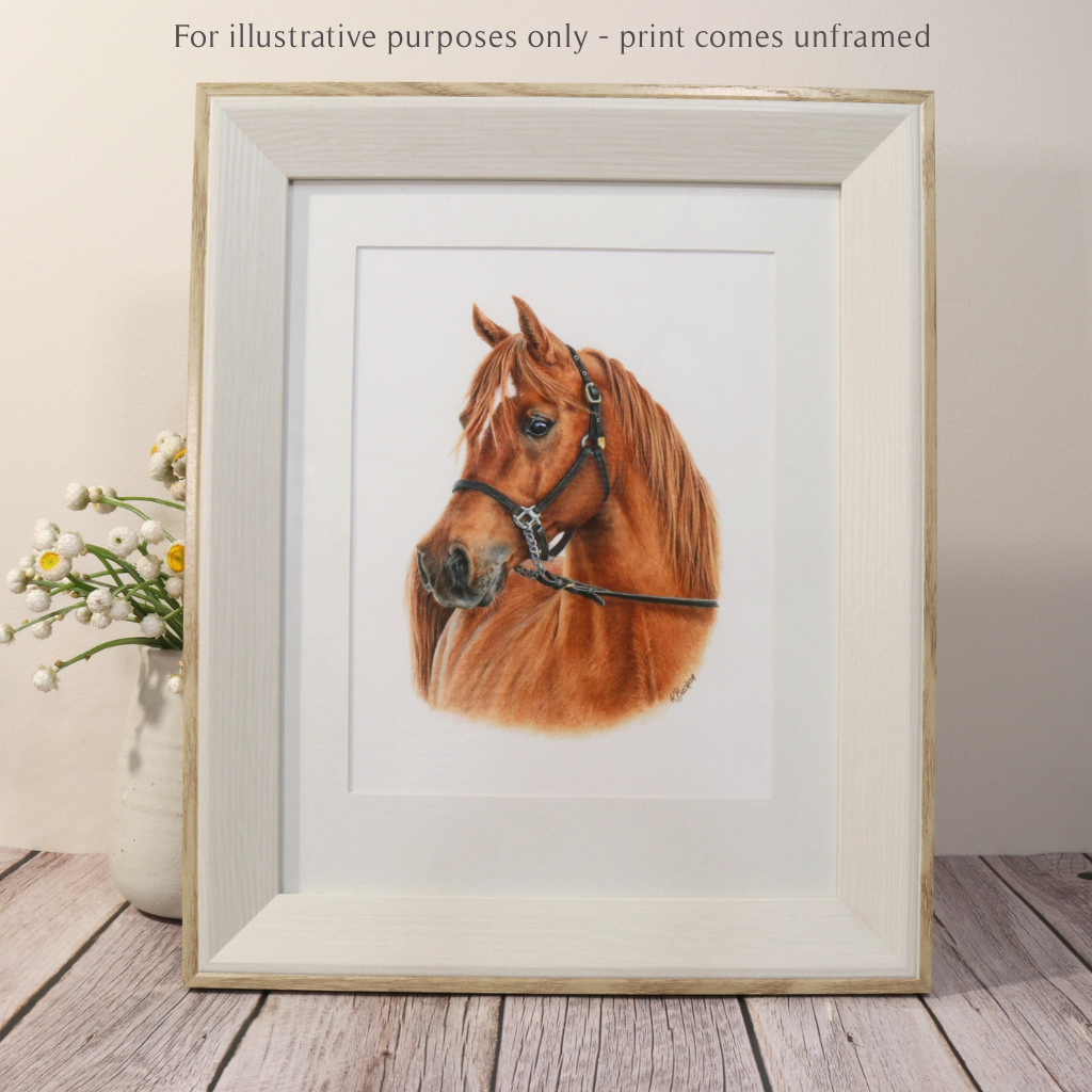 Arabian Horse | Horse Portrait | Art Print