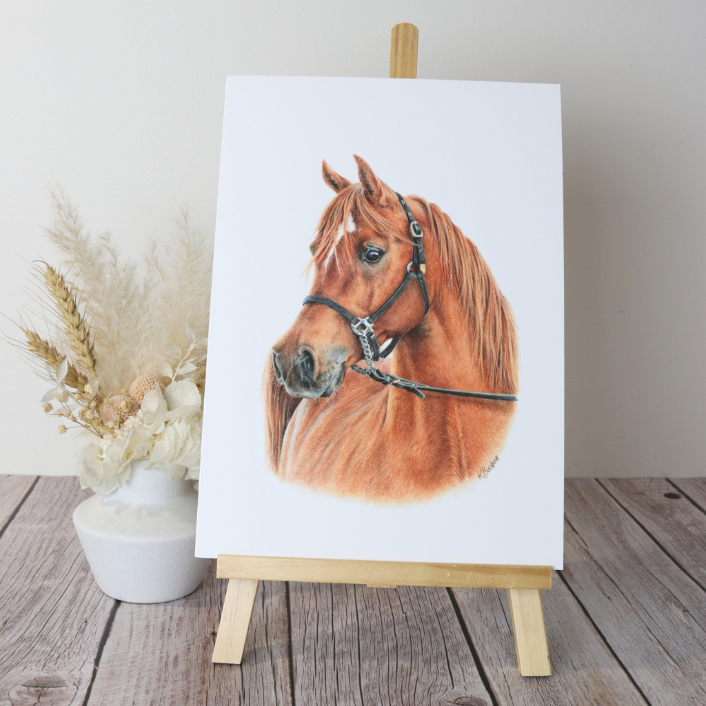 Arabian Horse | Horse Portrait | Art Print