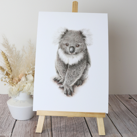 Koala | Australian Wildlife Art Print