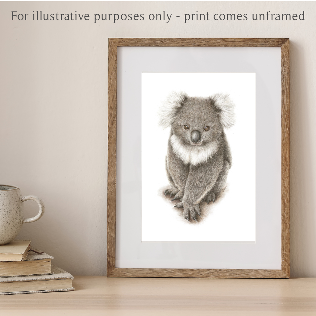 Koala | Australian Wildlife Art Print