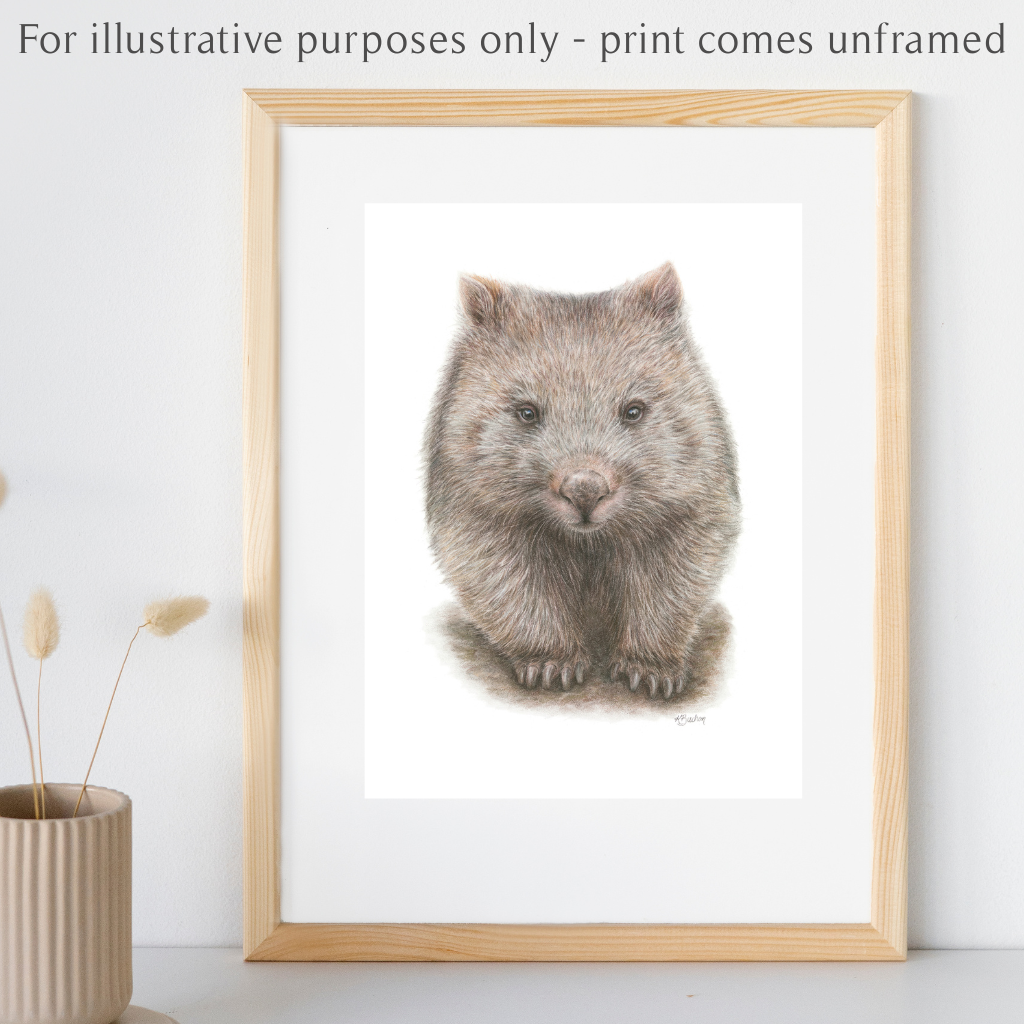 Wombat | Australian Wildlife Art Print