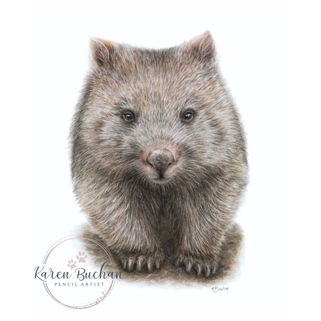 Wombat | Australian Wildlife Art Print