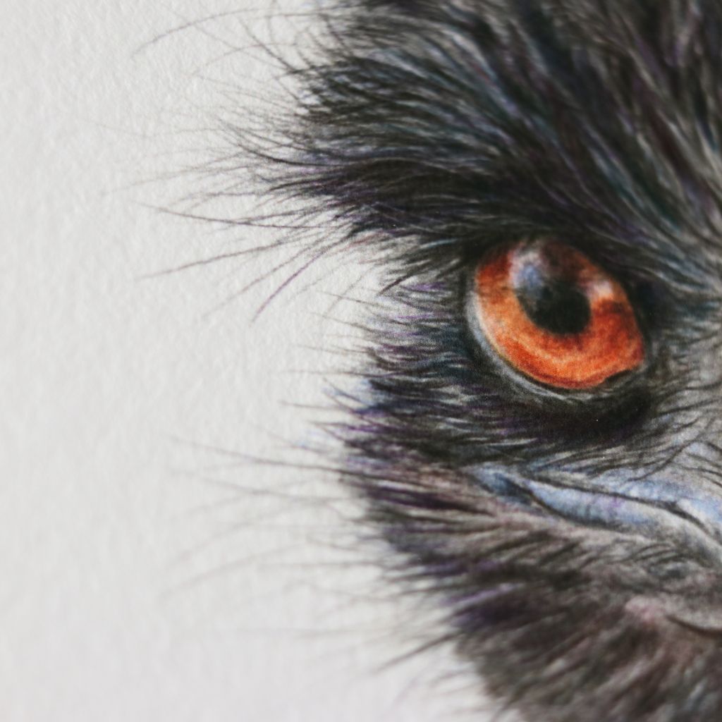 Emu | Australian Wildlife Art Print