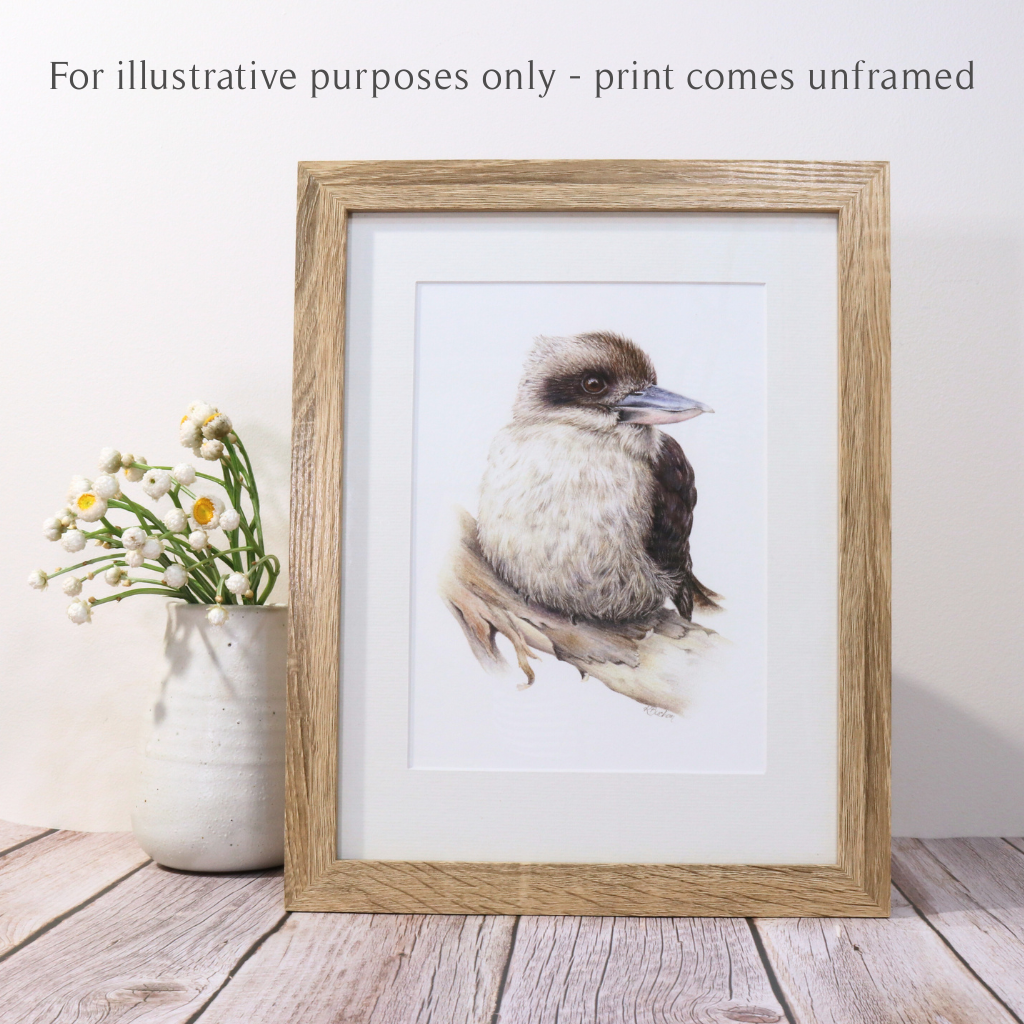Kookaburra | Australian Wildlife Art Print