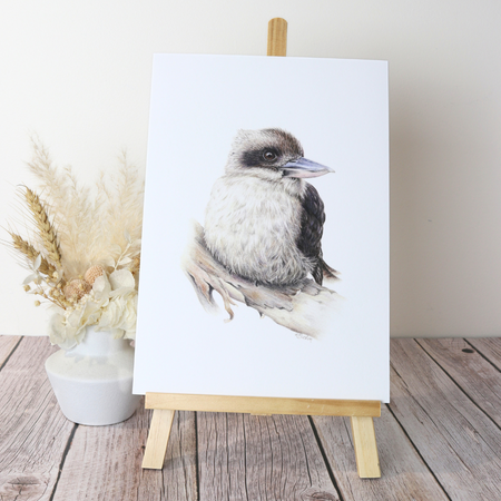 Kookaburra | Australian Wildlife Art Print