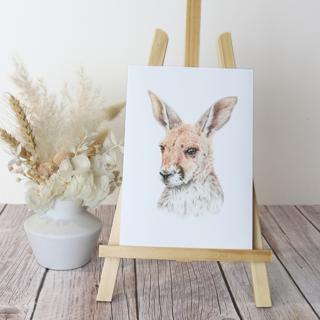 Kangaroo Joey | Australian Wildlife Art Print