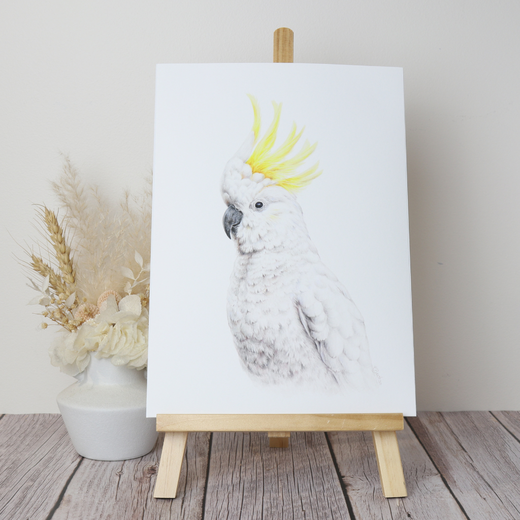 Sulphur-crested Cockatoo | Australian Wildlife Art Print