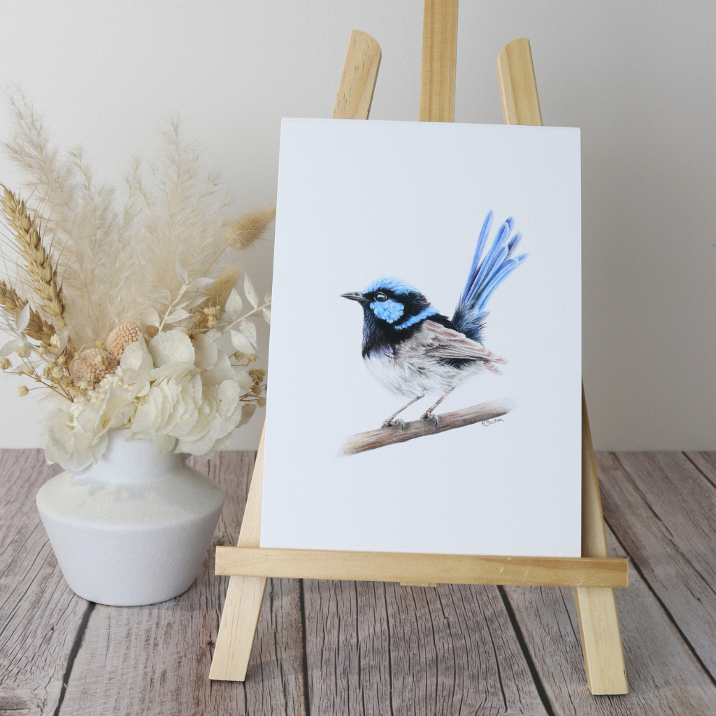 Superb Fairy Wren | Blue Wren | Australian Wildlife Art Print