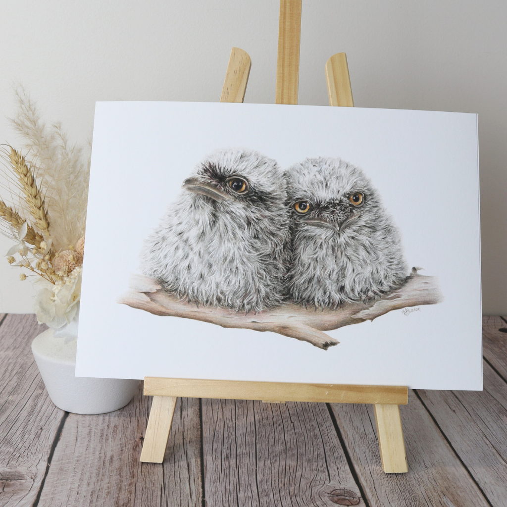 Tawny Frogmouth Chicks | Australian Wildlife Art Print